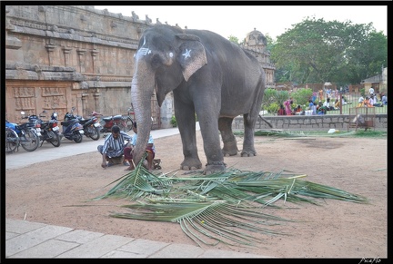 05-Tanjore 023