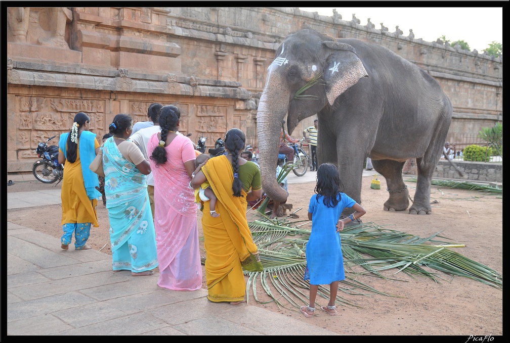 05-Tanjore 025