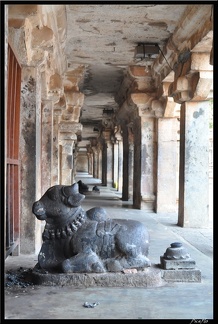 05-Tanjore 044