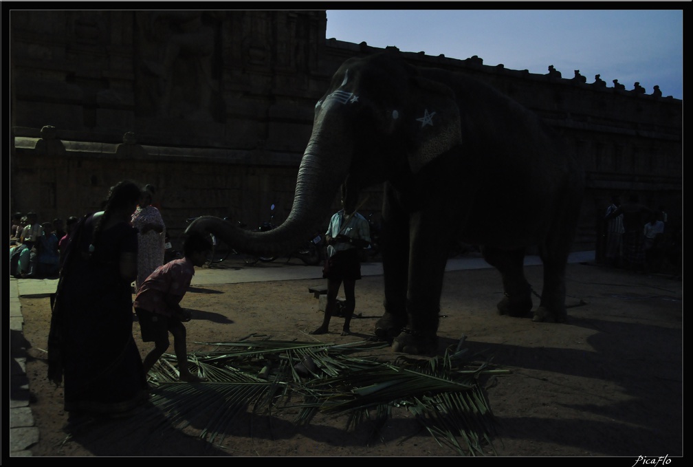 05-Tanjore 066