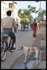 05-Tanjore 089