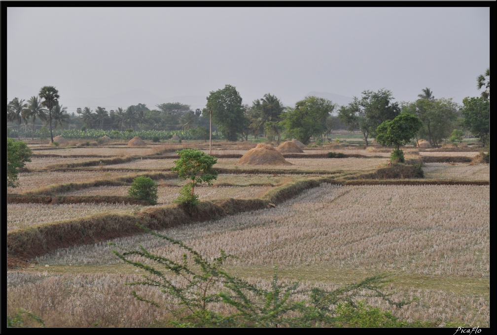 05-Tanjore 260