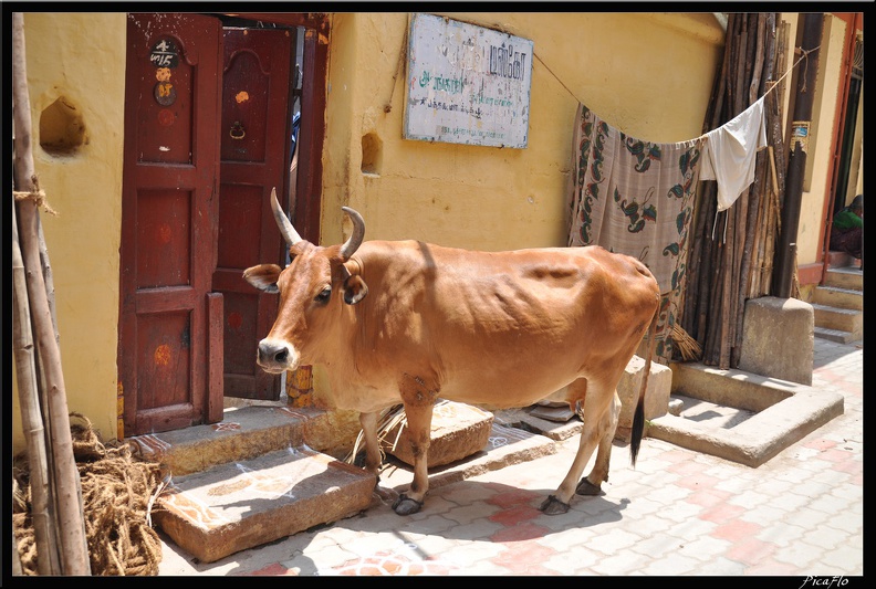 06-Madurai_078.jpg