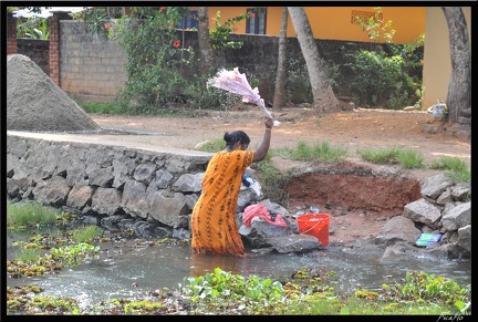 08-Kottayam 029