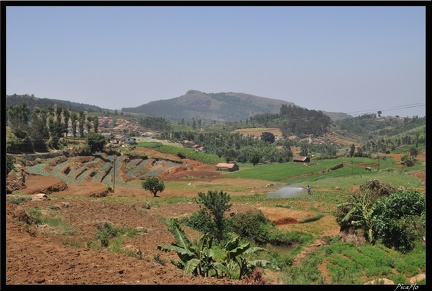 11-Ooty 097