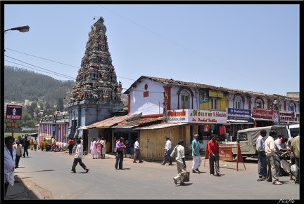 11-Ooty 258