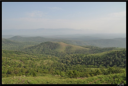 12-Mudumalai Masinagudi 200