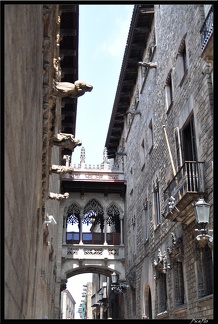 01 Barrio Gotico et la Cathedrale 044