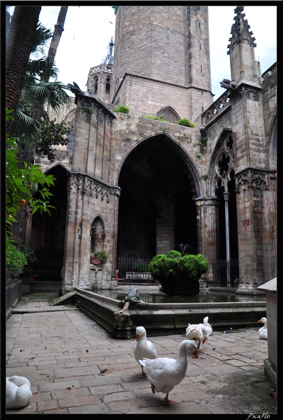 01_Barrio_Gotico_et_la_Cathedrale_056.jpg