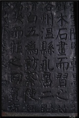 14 Xian Foret de steles 012