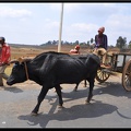 Mada 02-RN7 Antsirabe Fianarantsoa 027