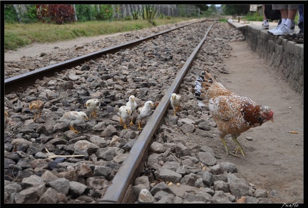 Mada 03-Fianarantsoa vers Manakara en train 026