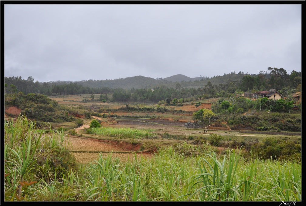 Mada 03-Fianarantsoa vers Manakara en train 041