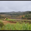 Mada 03-Fianarantsoa vers Manakara en train 041