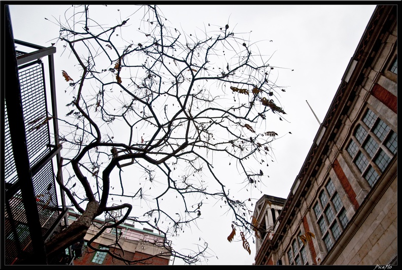 London_03_Covent_garden_010.jpg