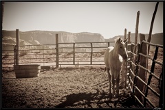 06 Route vers Monument Valley 0053