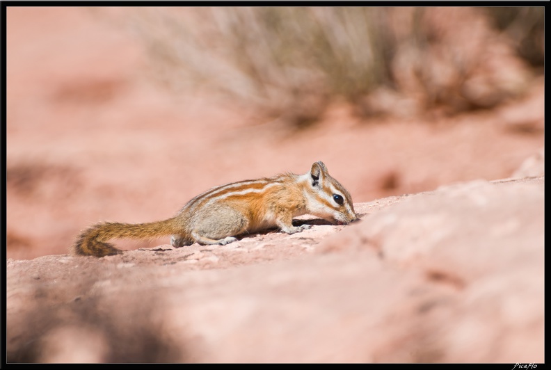 07_1_Canyonland-Murphy_trail_0049.jpg