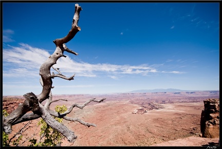 07 1 Canyonland-Murphy trail 0058