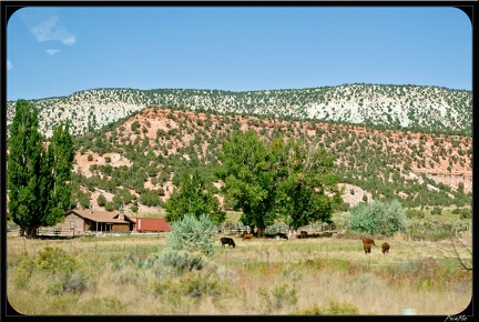 09 Route vers Bryce Canyon 0015