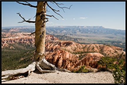 10 Bryce canyon 0033