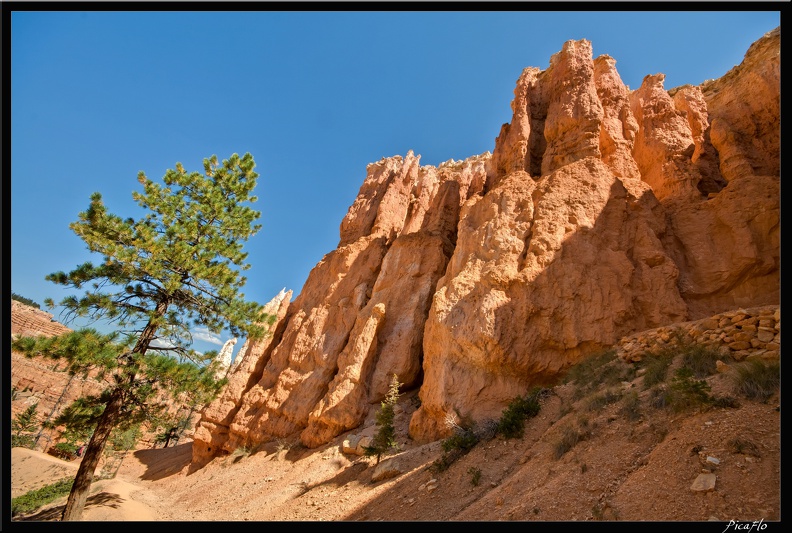 10 Bryce canyon 0079