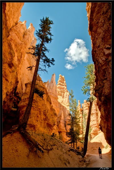 10 Bryce canyon 0087