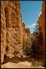 10 Bryce canyon 0088