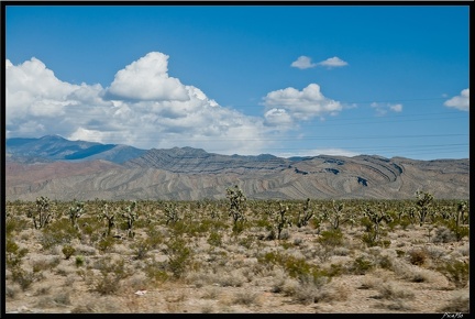 14 2 Death Valley et Route vers Bishop 0004