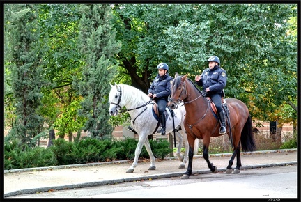 10 MADRID Salamanca Retiro 24