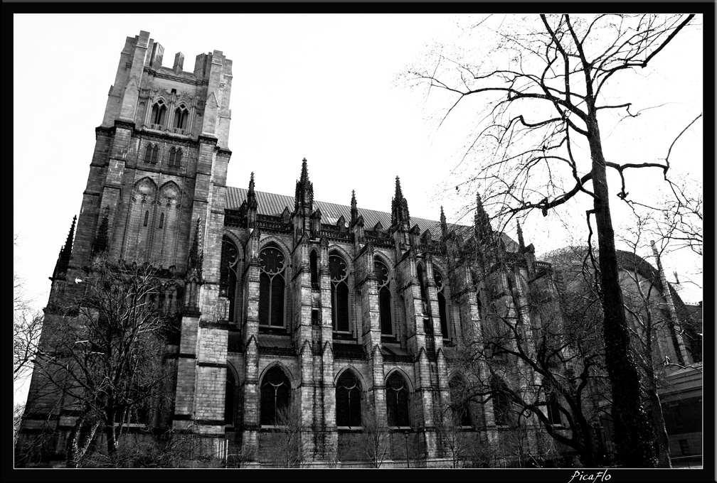 NYC 01 Harlem St John The Divine 0019