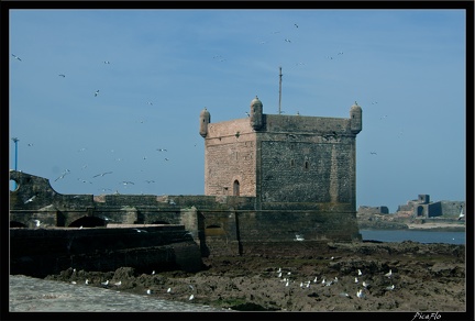 Essaouira 031