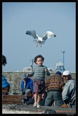 Essaouira 032