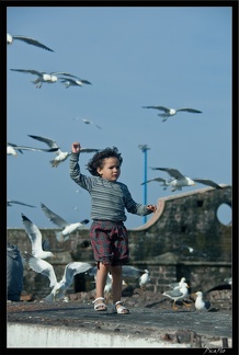 Essaouira 033