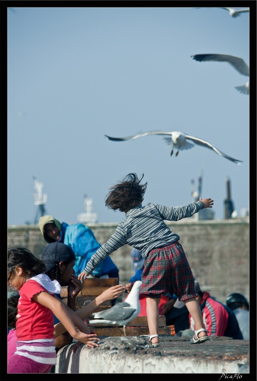 Essaouira 035