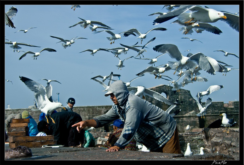 Essaouira_050.jpg