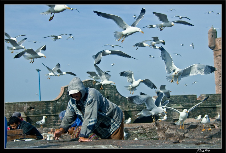 Essaouira 051