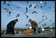 Essaouira 054