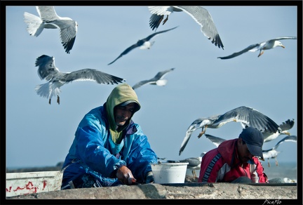 Essaouira 058