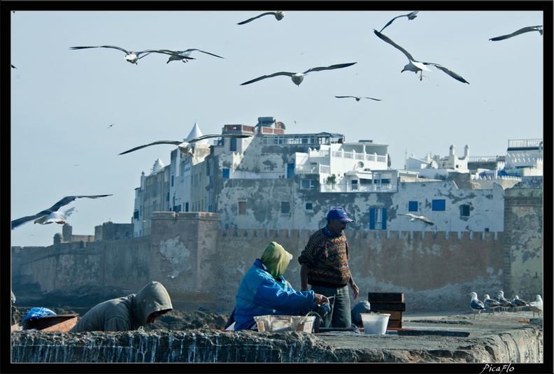 Essaouira_062.jpg