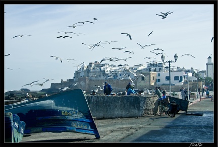 Essaouira 065