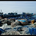 Essaouira 066