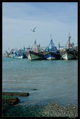 Essaouira 082