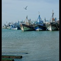 Essaouira 082