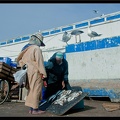 Essaouira 085