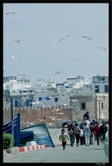 Essaouira 101