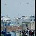 Essaouira 101