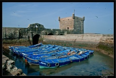 Essaouira 172