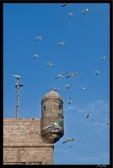 Essaouira 174