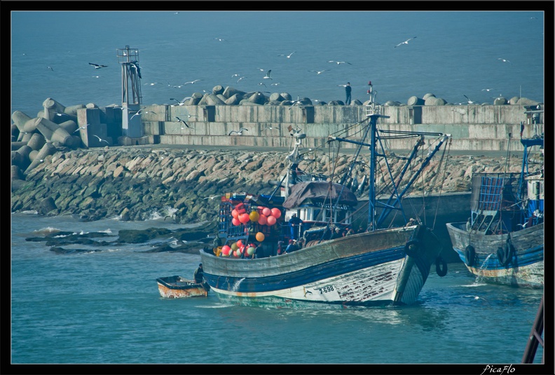 Essaouira 176