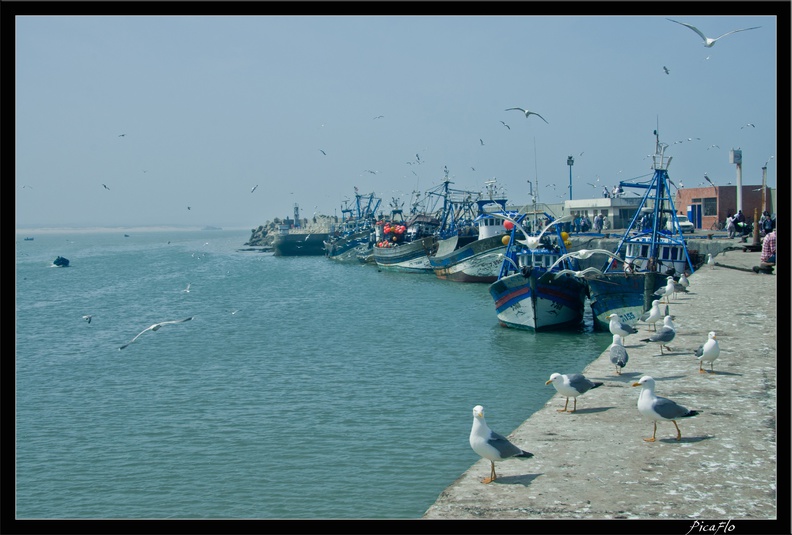 Essaouira 198